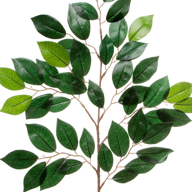 Ficus Leaf Spray 49 Leaves Green (65cmH) 1pc