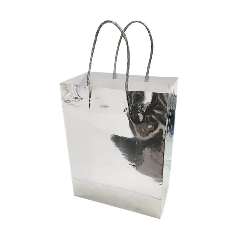 PAPER BAG – SILVER 4PK