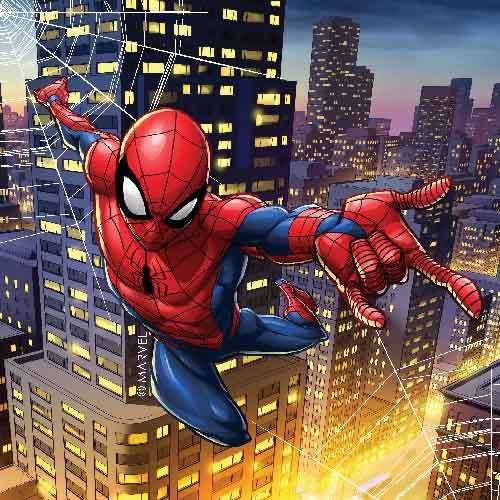 MIX NAPKIN 20PK SPIDERMAN