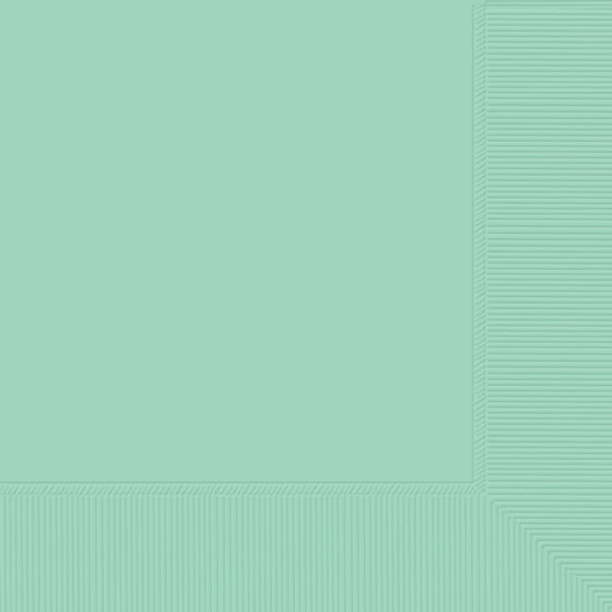 BEVERAGE NAPKINS 50 PACK 2 PLY COOL MINT NIS Packaging & Party Supply