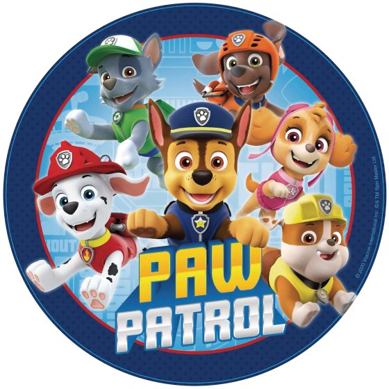Paw Patrol Drum Pinata NIS Traders