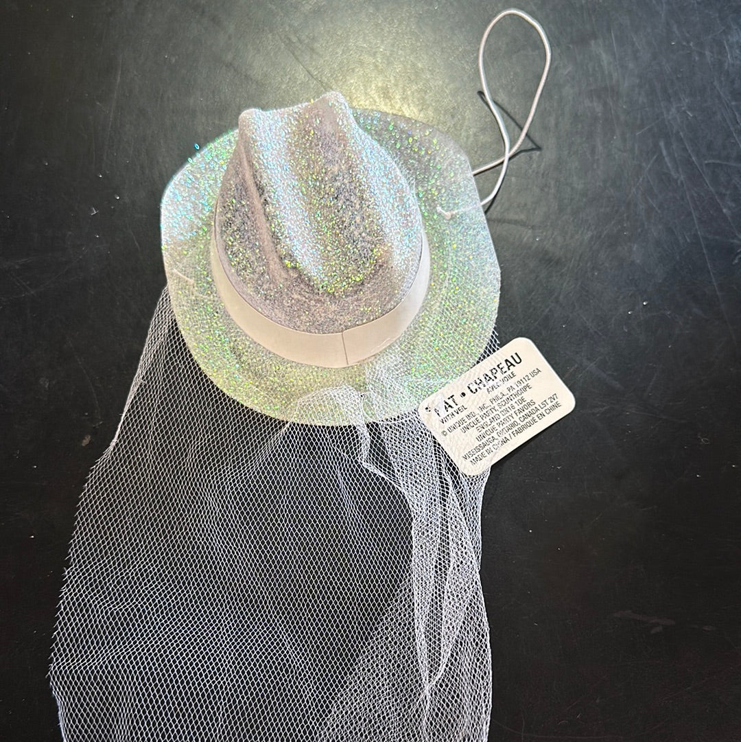 Hat with veil
