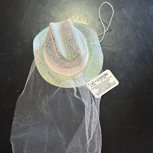 Hat with veil