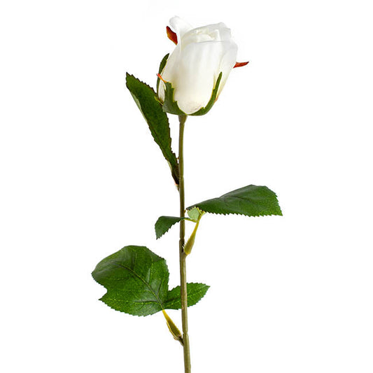 Siena Silk Rose Bud White (66cmH) 1pc