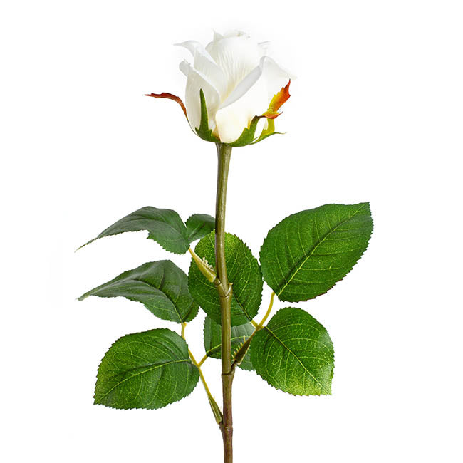 Siena Silk Rose Large Bud Half Open White (66cmH) 1pc