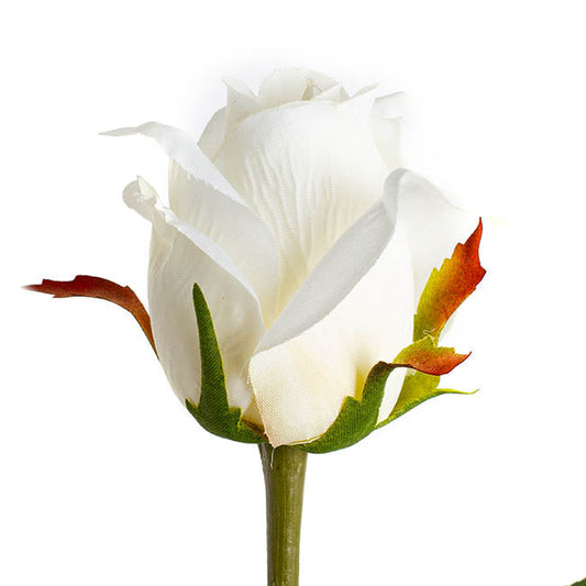Siena Silk Rose Large Bud Half Open White (66cmH) 1pc