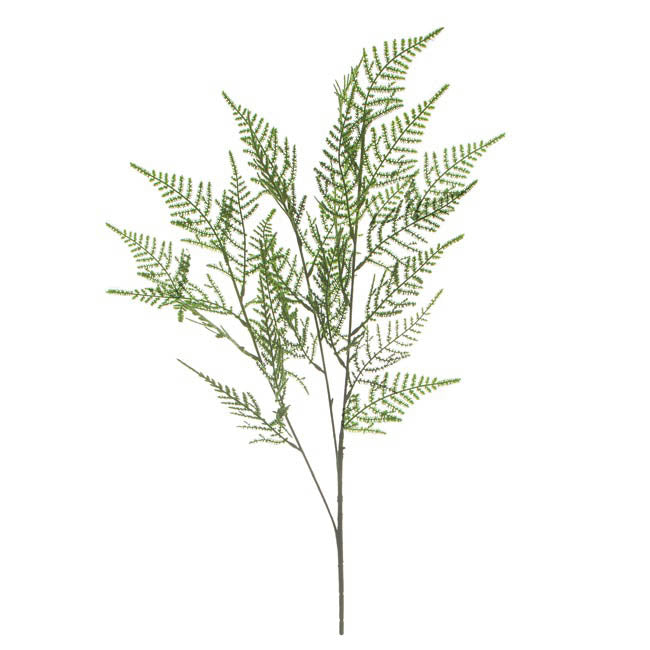 Leaf Cypress Fern Spray Green (73cmH) 1pc