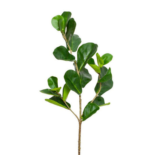 Fiddle Leaf Spray Real Touch (75cmH) 1pc