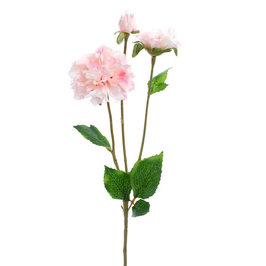 Barla Zinnia Spray Light Pink (67cmH) 1pc