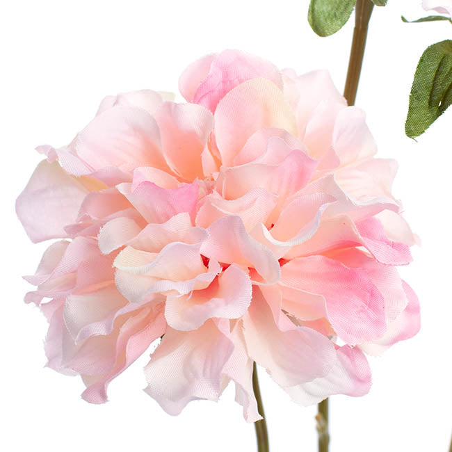 Barla Zinnia Spray Light Pink (67cmH) 1pc