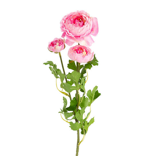 Helena Ranunculus Spray Pink (61cmH) 1pc