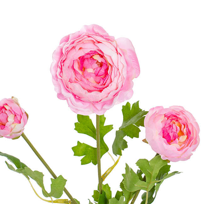 Helena Ranunculus Spray Pink (61cmH) 1pc