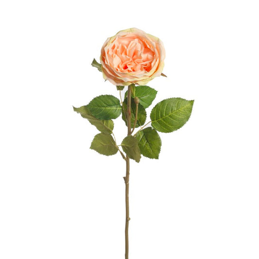 Grace Garden Rose Stem Dusty Peach Flower (76cmH) 1pc