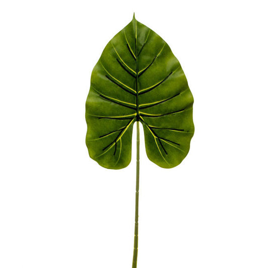 Canna Leaf Pick Dark Green (95cm)