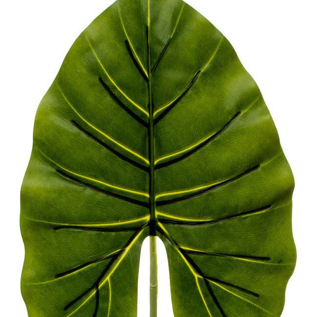 Canna Leaf Pick Dark Green (95cm)
