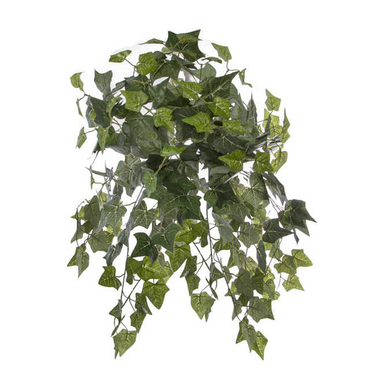 Hanging Plants English Ivy Bush x24 Green (67cm) 1pc