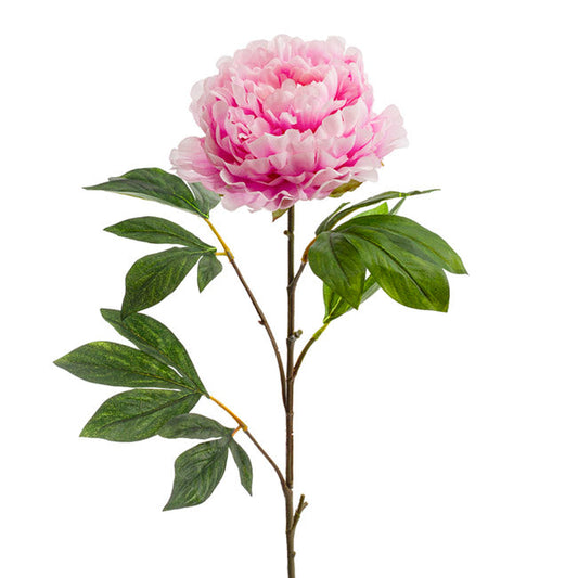 Princess Peony Light Pink (80cmH) 1pc
