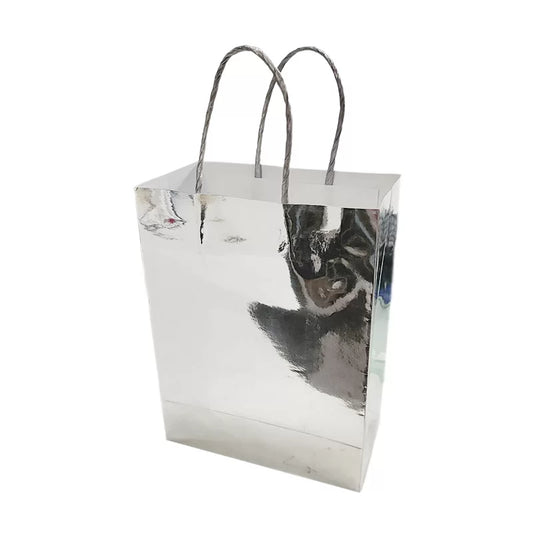 PAPER BAG – SILVER 4PK