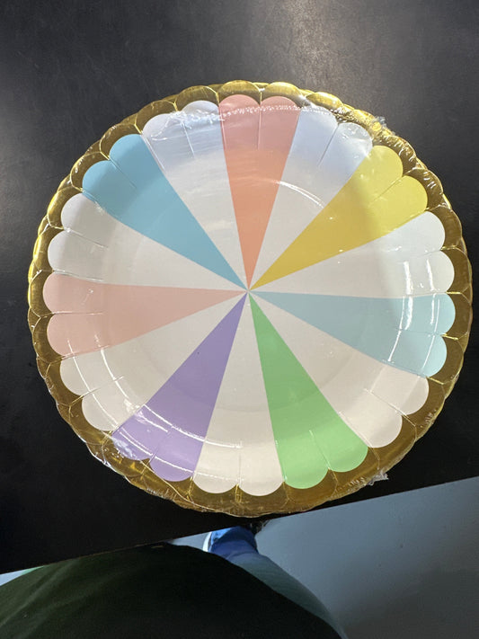 Coloured paper plates 8 pk