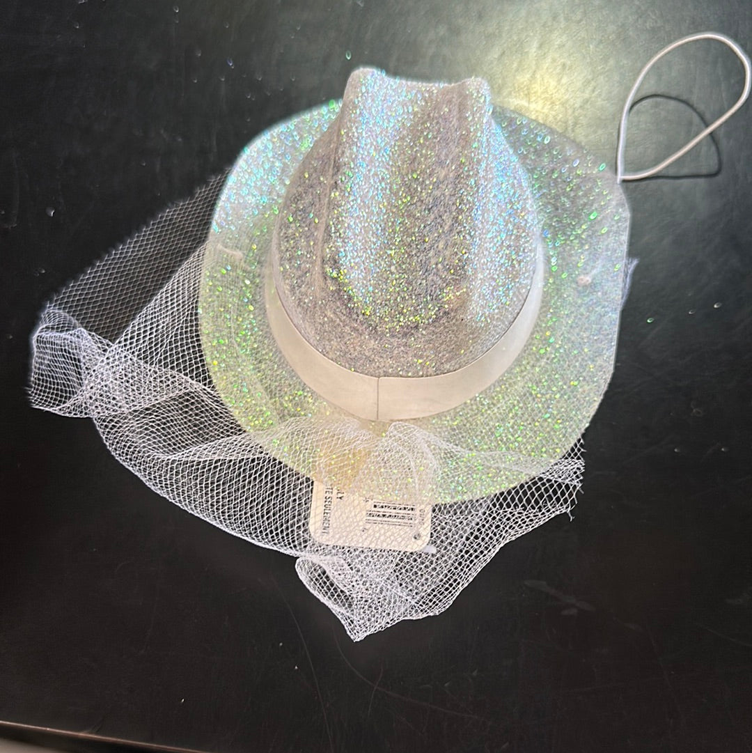 Hat with veil