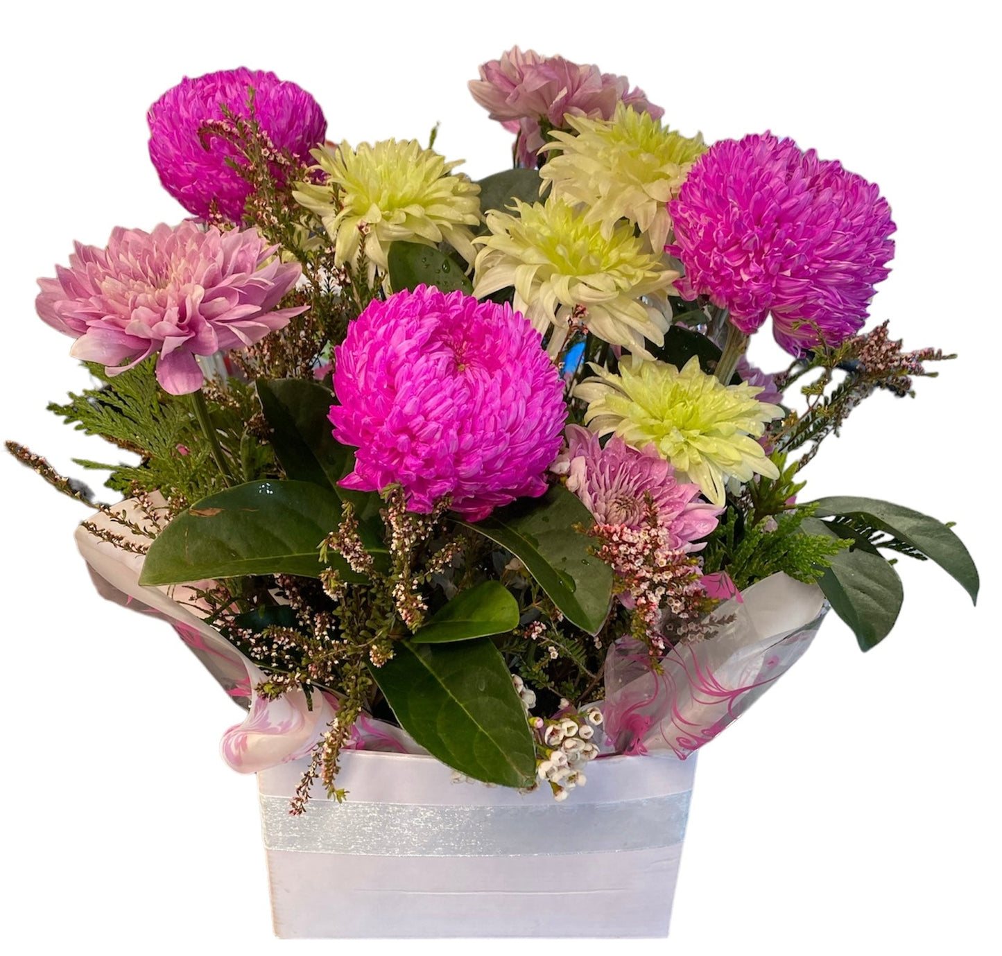 Pink Peony Harmony