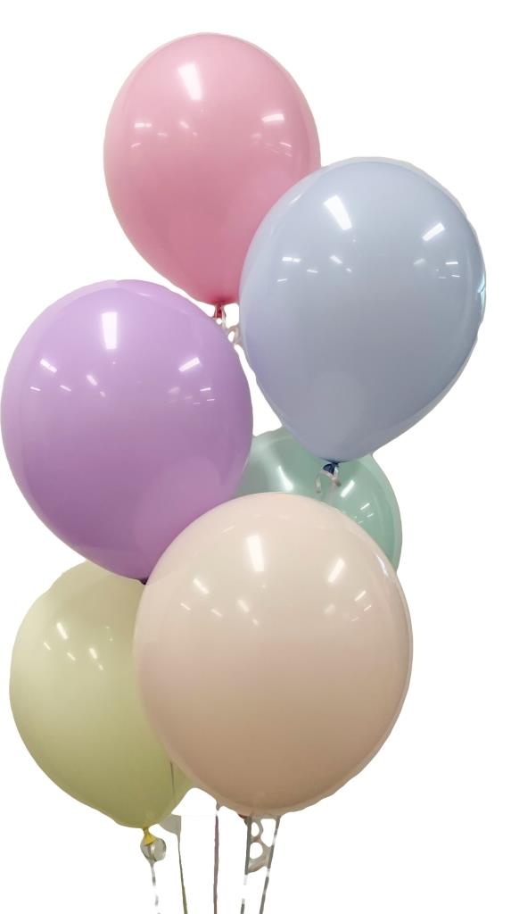 Buy Macaron Assorted Colours 30cm Balloons P25 at NIS Packaging & Party Supply Brisbane, Logan, Gold Coast, Sydney, Melbourne, Australia