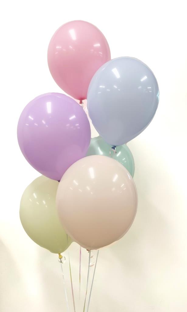 Buy Macaron Assorted Colours 30cm Balloons P25 at NIS Packaging & Party Supply Brisbane, Logan, Gold Coast, Sydney, Melbourne, Australia