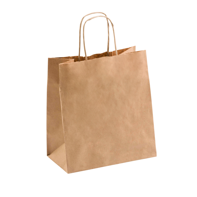 SMALL PAPER TWIST HANDLE BAG 25/slv. (250 ctn)
